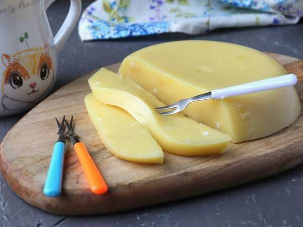 Сыр рикотта из козьего молока
